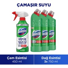 Domestos Çamaşır Suyu Dağ Esintisi 750 ml X3 Domestos Köpük Gücü Çamaşır Suyu Çam Esintisi 450 ml X1