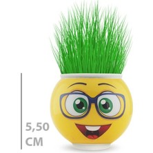 Fun And Market Buğz Çim Adam Saksı Emoji Figürlü 1 Adet