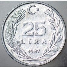 Banknoting Türkiye Cumhuriyeti 25 Lira 1987.