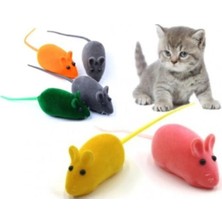 Fun And Market Buğz Kedi Eğitim Oyun Faresi 4 Adet