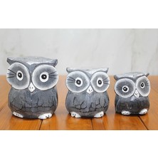 Fun And Market Buğz Ahşap 3'lü Baykuş Seti Model 2