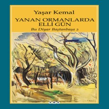 Ethab Ticaret Yanan Ormanlarda Elli Gün - Bu Diyar Baştan Başa 2