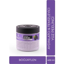Sinep Pro-Care Scrub Aydınlatıcı ve Temizleyici Yüz Peelingi 400 ml Böğürtlen