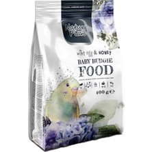 Nature Plan Yavru Muhabbet Kuşu Yemi Yumurta + Ballı 400 gr Zengin Tohum İçeriği ile Sağlıklı Beslenme
