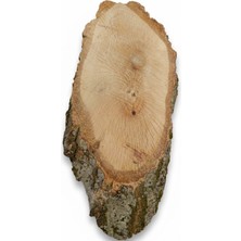 Nar Atölye Doğal Meşe Kütük Dilimi - 28X11 cm Zımparalanmış Boyanabilir Ham Ahşap