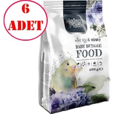 Nature Plan Yavru Muhabbet Kuşu Yemi Yumurta + Ballı 400 gr 6 Ad