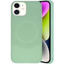 Senka Newface Iphone 11 Kılıf Maya Karbon Kapak - Su Yeşili