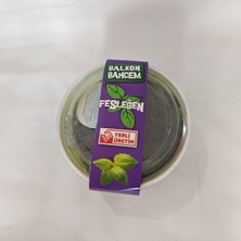 Big Store Fesleğen Dikim Seti - Saksı, Organik Humus Katkılı Toprak ve Tohum
