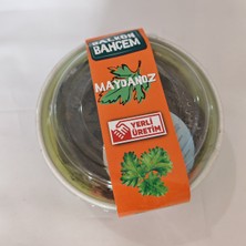 Big Store Maydanoz Yetiştirme Seti - Saksı + Humus Katkılı Toprak + Tohum