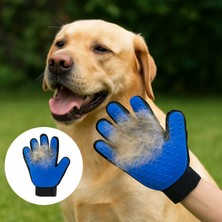 Papağanhane Kedi Köpek Tüy Toplama Eldiveni – Masaj Etkili, Kolay Temizlik, Evcil Hayvan Bakım Tarağı