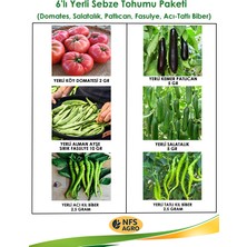 Nfs Agro 6 Çeşit Yerli Sebzetohum Paketi (Yerli Köy Domatesi, Yerli Kemer Patlıcan, Yerli Acı-Tatlı Kıl Biber, Yerli Alman Ayşe Sırık Fasulye, Yerli Salatalık