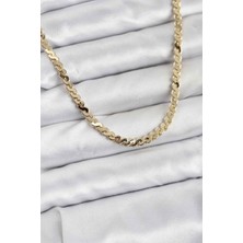 Youday Accessories Pirinç Gold Renk Yassı Zincir Kadın Kolye