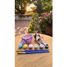 Karmaşık Hobi Evi Boyama Seti Kedi Figürü ve Dekoratif Kabuk Saksı Seti – 6 Renk Boya & 2 Fırça Dahil Hobi Seti