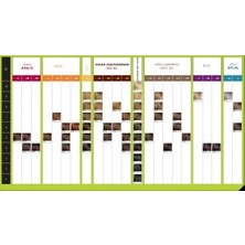 L'Oréal Professionnel İnoa 5.4 Açık Kahve Bakır Saç Boyası