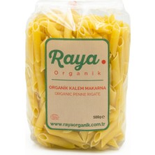 Raya Organik Organik Kalem Makarna 500 G