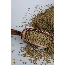 Öget Köy Yeşil Mercimek 1 kg – Doğal Mercimek - Ögt