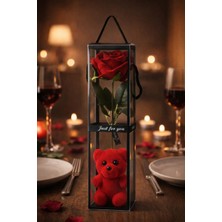 Şeffaf Kutulu Ayıcıklı Tekli Gül Sevgililer Günü Hediyesi Romantik Ayıcık ve Gül Seti Kırmızı Tek Ebat 11 - 30 cm Gül Ventoze Shop