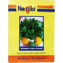 Cegel Ziraat Neobi Maydanoz Tohumu Geniş Yaprak D'Giant İtaliana 25 gr