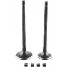 Monero Tvs Raıder 125 Emme Egzoz Sübap Takımı Orj