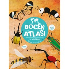 Taze Kitap Fatih Dikmen'in Böcek Atlası - 112 Sayfa Bilim & Teknik Kitabı Türkçe Çocuklar İçin