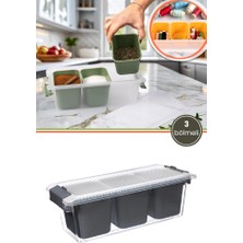 Flora 3 Bölmeli Çok Amaçlı Saklama Kabı 2 Litre, Baharat Kuruyemiş Takı Ofis Organizer Kutu Düzenleyici