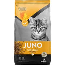 Juno Tavuklu Yavru Kedi Maması 500 gr