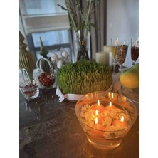 İV BLUE PURPLE 12 Adet Turuncu Suda Yüzen Mum