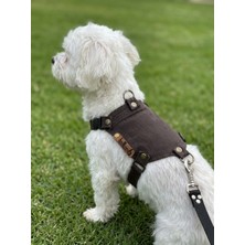 Balkonda Köpek Göğüs Tasması Minik & Küçük Irk Ayarlamalı Kot Koyu Kahverengi