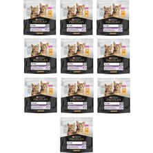 Pro Plan Kitten Yavru Tavuklu Kedi Kuru Mama 400 Gr. x 10 Adet