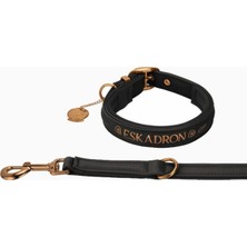 Eskadron Platinum 23 Köpek Tasma ve Gezdirme Seti Suni Deri