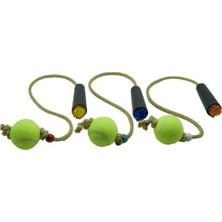 Petcraft Köpekler Için Toplu Diş Ipi