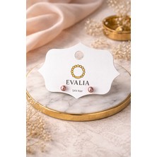 Evalia Inci Küpe - Kahverengi Inci Top Çelik Küpe