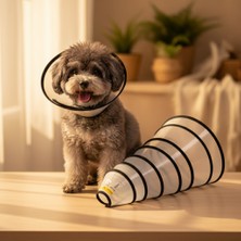 Lady Fify Kedi ve Köpek Için Ameliyat Sonrası Iyileşme / Yara Kaşımasını Önleme Yakalığı (Elizabeth Konisi)