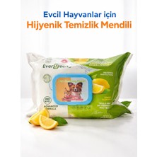 Evergreen Evcil Hayvan Temizlik Havlusu 100 Adet