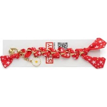 Camkapak Aksesuar Telefon Aksesuar Elçek Modelleri