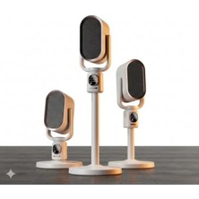 Esranın Dünyası Teleskopik Ayaklı Elektrikli Isıtıcı - 2251-2500W, Gri