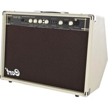 Esranın Dünyası Cort Amfi 60W AF60