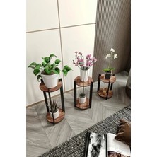 Esranın Dünyası 3'lü Bitki Standı Seti, Kolay Kurulum ve Şık Tasarım