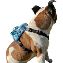 Esranın Dünyası Geri Dönüştürülmüş Malzemeden Su Geçirmez Köpek Sırt Çantası