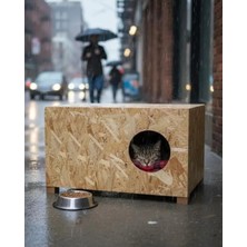 Esranın Dünyası Ahşap Dış Mekan Kedi Evi - 60X40X30 cm Boyutlarında