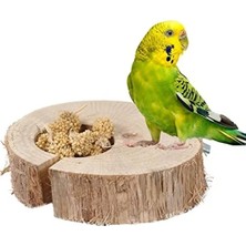 Esranın Dünyası Doğal Ağaçtandır, Kuş Tüneği Için Çatlak Kütük Yemlik