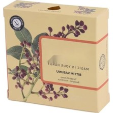 Esranın Dünyası Doğal Bitkisel Bıttım Sabunu - 100 gr