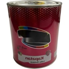 Esranın Dünyası Parlak Bitişli Kapatan Boya, 0.75 Litre