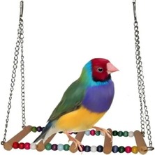 Esranın Dünyası Köprü Salıncak, 14X7 Cm, Kuşlar Için Eğlenceli Oyun