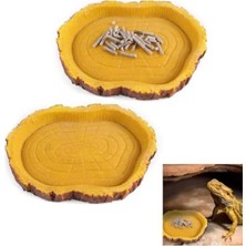 Esranın Dünyası 2'li Sürüngen Beslenme Kabı Seti, Doğal Görünümlü, Güvenli ve Sağlıklı