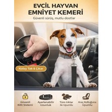 Ankaflex Kedi ve Köpek Araç Emniyet Kemeri Tasması Yavru Evcil Hayvan Tasması Araba Kemer Seyahat Aksesuarı