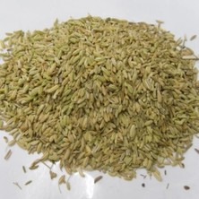 Fatoş Yöresel Doğal Rezene Tohumu 75 gr
