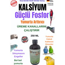 Feroxit Kalsiyum ve Özel Fosfor ile Yumurta kanallarını çalıştırır ve iz element desteği karışımı 250 ml YUMURTA VE ÜREME ARTTIRICI YUMURTA SIKIŞMASINI ÖNLER