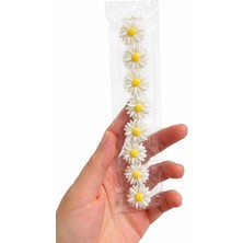 Emk Shop 10'lu Saç Küpesi Saç Halkası Saç Süsleme Boncukları