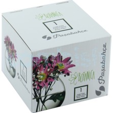 Paşabahçe Botanica Mini Küre Vazo Şık Tasarım Renkli Cam Malzeme ile Evinize Değer Katar
